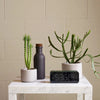 BOTANY PORCELAIN PLANT POTS by AARON PROBYN on a table next to a clock in Gestalt Haus.