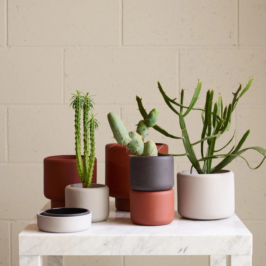Four porcelain plant pots by Aaron Probyn sit on a marble table at Gestalt Haus.