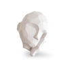A white head DREAMER SCULPTURE by COOEE of a head on a black background.